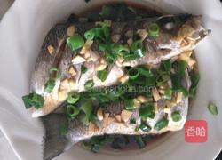 葱油鲈鱼的做法图解9