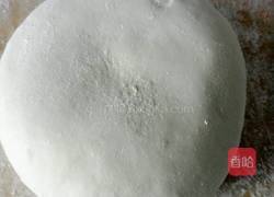 猪肉香葱馅锅贴的做法图解4