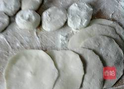 猪肉香葱馅锅贴的做法图解7