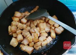 经典红烧肉的做法图解4