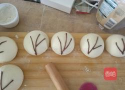 春暖花开之馒头的做法图解6