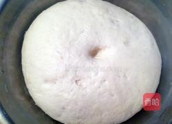 五香酱肉包的做法图解11