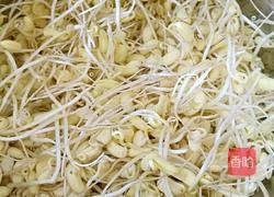 自发黄豆芽的做法图解6