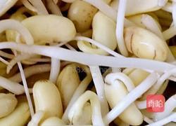 自发黄豆芽的做法图解8