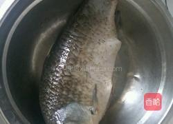 鲫鱼炖豆腐粉条的做法图解1