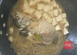 鲫鱼炖豆腐粉条的做法图解5