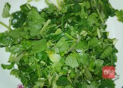 白菜炝肉丝的做法图解5