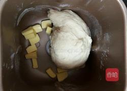 豆沙小面包的做法图解3