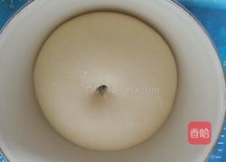 热狗面包的做法图解6