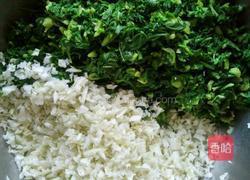 山菜水饺的做法图解2