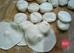 山菜水饺的做法图解4