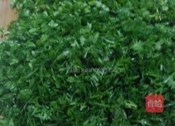 茴香肉饺子馅（清香型）的做法图解4