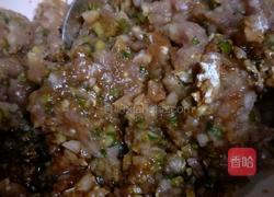 猪肉白菜水饺子的做法图解5