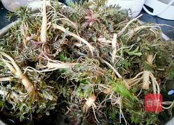 荠菜肉饺子馅的做法图解1