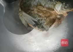 啤酒鱼的做法图解6