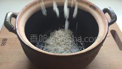 菊花粳米粥的做法图解3