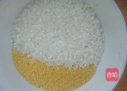 黄金二米粥的做法图解1