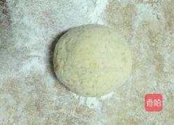 生煎玉米团子(猪肉萝卜馅)的做法图解14