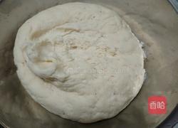 白菜粉条馅包子的做法图解9