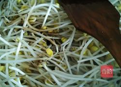 爆炒黄豆芽的做法图解6