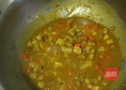 咖喱鸡肉饭的做法图解8