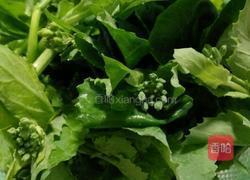 炝炒菜苔的做法图解1