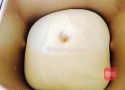 蔓越莓奶香土司的做法图解8