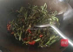炒蕨菜的做法图解9