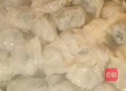 荠菜水饺的做法图解14