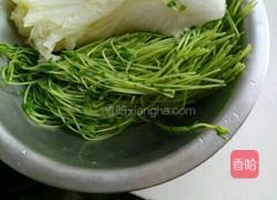 芽苗菜白菜肉馅的做法图解2
