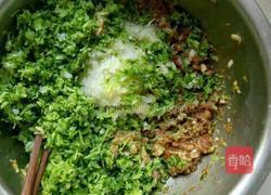 芽苗菜白菜肉馅的做法图解3