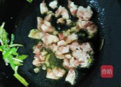 肉末豆芽菜的做法图解5