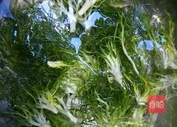 凉拌苦菊的做法图解1