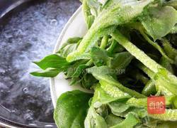 凉拌冰草的做法图解4