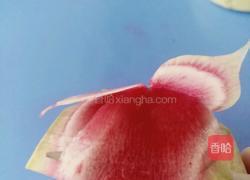 荷花（）莲花的做法图解7