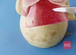 荷花（）莲花的做法图解8