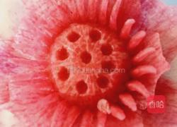 荷花（）莲花的做法图解24