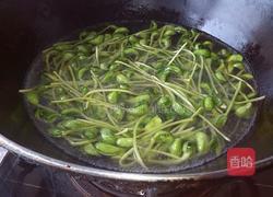 豆苗拌粉丝的做法图解3
