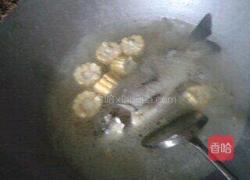 玉米鲫鱼汤的做法图解6