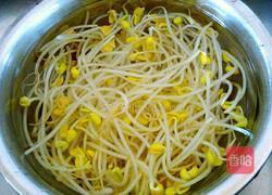 凉拌黄豆芽的做法图解6