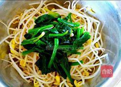 凉拌黄豆芽的做法图解10