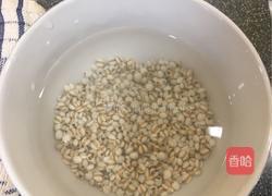 冬瓜薏米排骨汤的做法图解3