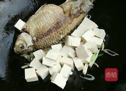 红烧鲫鱼豆腐的做法图解8