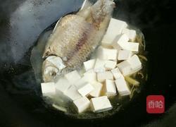 红烧鲫鱼豆腐的做法图解9