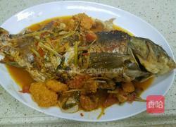 西红柿豆瓣鱼的做法图解11