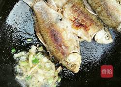 香煎鲫鱼的做法图解7