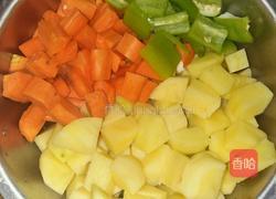 家常炖肉的做法图解2