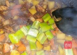 家常炖肉的做法图解5