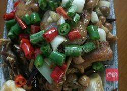 山黄皮焖啤酒鱼的做法图解19