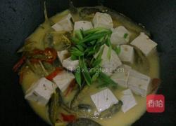 泥鳅豆腐的做法图解5